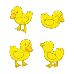 Set of Ducklings. isolated on white background