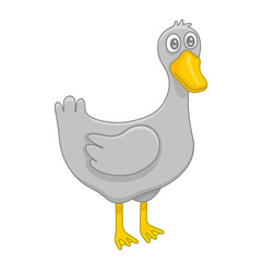 Duck. isolated on white background