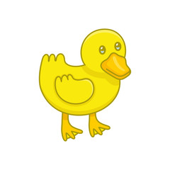 Duckling. isolated on white background