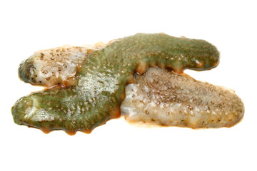 sea cucumber as a delicious sea food in Asian countries on white background