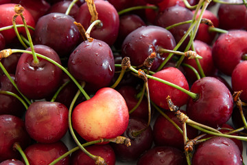 Close up view of raw cherries, bio produce