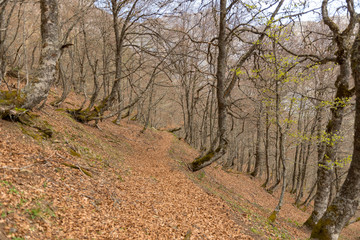 Picos de Europa mountains next to Fuente De village Cantabria Spain