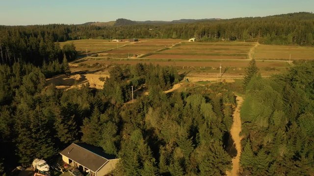 Empty cranberry bogs in spring time in Bandon, Oregon, USA. Drone shot, descending over a residential home.