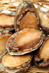 Raw abalones on the white background 
