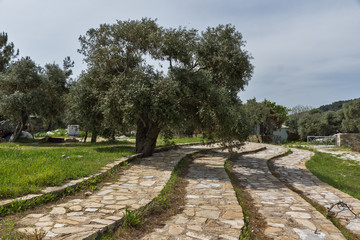 Ruins at Archaeological area of Aliki, Thassos island,  East Macedonia and Thrace, Greece