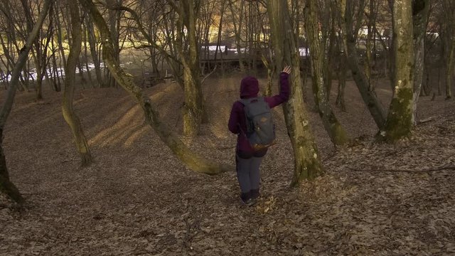 Woman in purple jacket walking down a hill in a forest acting silly.  Lady happy to have survived a hike through Hoia Baciu, a famous haunted forest in Romania.