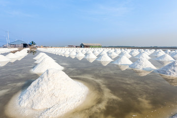 Mass of salt in the salt sea salt farm