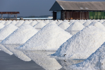 Mass of salt in the salt sea salt farm