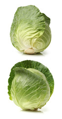 Fototapeta premium cabbage on white background