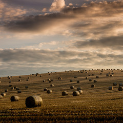Straw bales are the beautiful scenery
