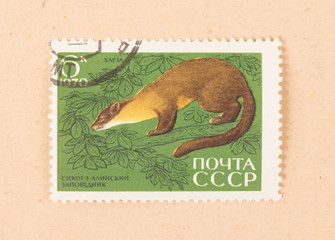 CCCP - CIRCA 1970: A stamp printed in the CCCP shows an animal in a tree, circa 1970