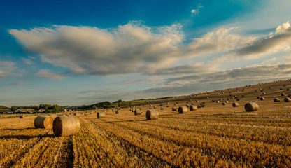 Fototapeta premium Straw bales are the beautiful scenery