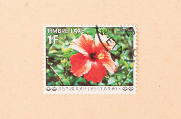 COMOROS - CIRCA 1980: A stamp printed in the Comoros islands shows a flower, circa 1980