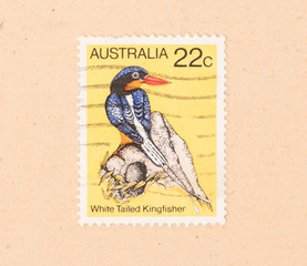 AUSTRALIA - CIRCA 1970: A stamp printed in Australia shows a White Tailed Kingfisher, circa 1970