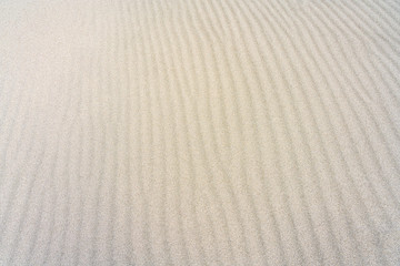 Fototapeta premium 風紋