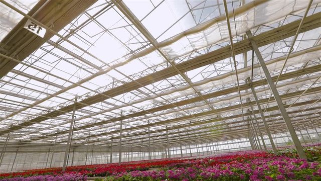 Opening the roof in a large modern greenhouse, the process of opening the roof in a large modern greenhouse