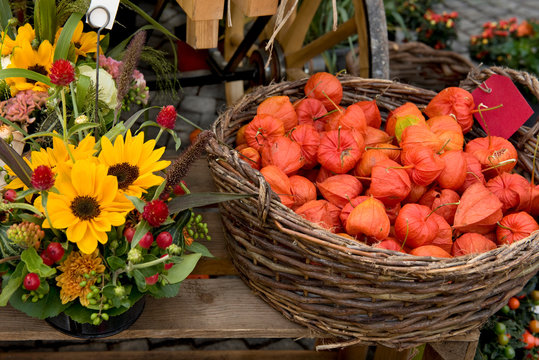 Herbst, Wochenmarkt, Marktstand, Lampionblumen