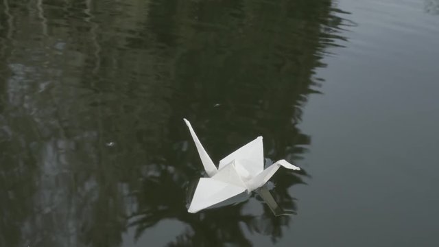 Putting origami swan to water surface, closeup of hand