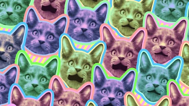 Seamless young animation of cartoon style cats with duotono colors. Stop motion minimal animal art with pastel colors halftone style background.