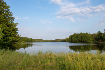 Landscape of a beautiful superficial blue lake surrounded by forest in the central part of Poland on a sunny summer day.