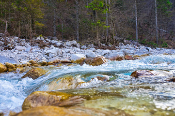 The small river in a Triglav National Park