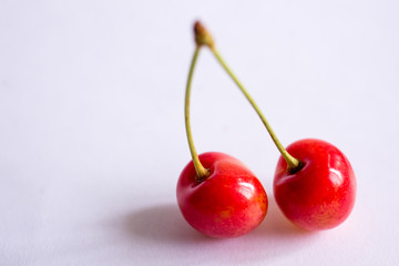 two cherries isolated on white background