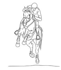 Horse and rider galloping forward, front view