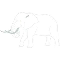 Elefant Afrika