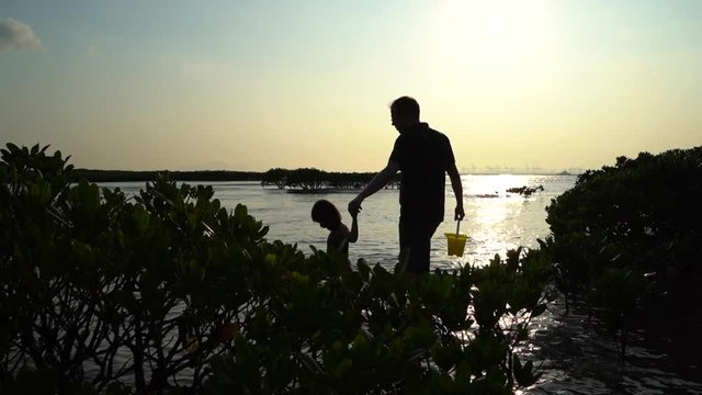 silhouette of man and child girl walking on wetland beach through mangroves at sunset
