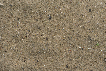 grainy rain drops sand texture mixed with small pebble, wooden sticks
