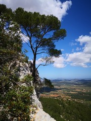 Spanien Mallorca Meer Mediterran Mittelmeer Urlaub Sonne