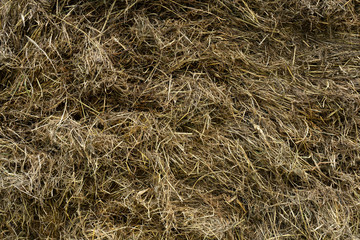 messy old hay stack texture topview