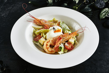 White Restaurant Plate of Caesar Salad with Shrimps, Chicken, Croutons, Tomatoes, Cucumbers Top View