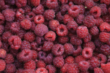 background of a variety of fresh natural raspberry berries
