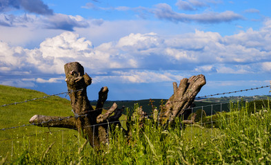 Views out over the Welsh Landscape in North Wales on Moel y Parc near Moel Famaua