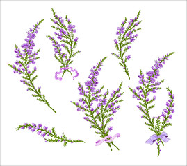 Branch heather mother's day mom vector print purple flowers blossom - obrazy, fototapety, plakaty