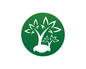 Tree icon logo template vector illustration design