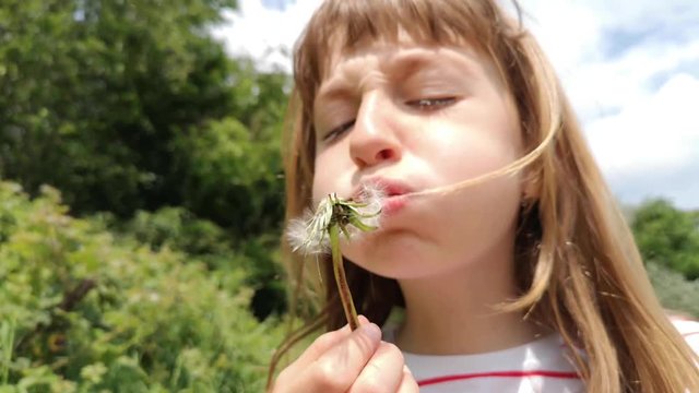 Thirteen-second clip of a small blonde-haired child frustrated as she attempts to blow out a dandelion plant.