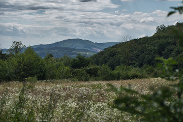 Landscape view of the field and mountains in the distance with blue sky