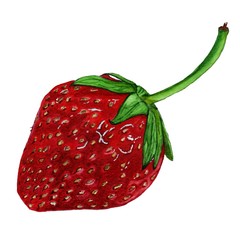 This is my hand-painted watercolor of juicy strawberries on a white background