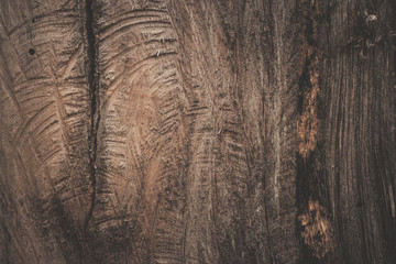 wood texture background