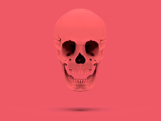 Pink flying skull on a Pink Background. High Resolution 3D Render.