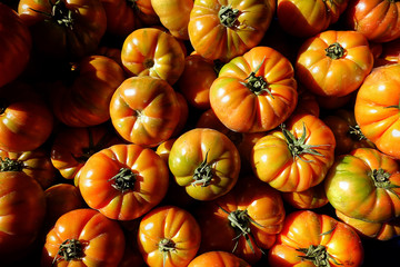 Healthy and Juicy Vegetable Tomato