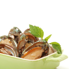 Raw abalones on the white background 