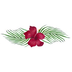 This is hand-drawn watercolor tropical flower and leaves.