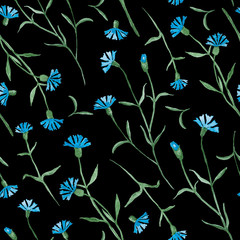 Cornflowers plant with blue flowers, watercolor painting - seamless pattern on black background