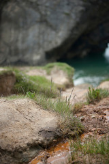 mud grass sea and stone 