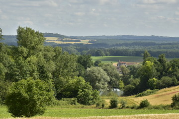 Fototapeta premium Petite forêt de différents arbres autour d'un étang isolé vers la vallée de la Lizonne au Périgord Vert