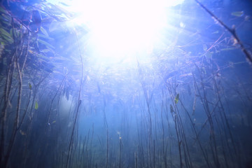 lake underwater landscape abstract / blue transparent water, eco nature protection underwater