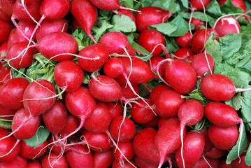 Radish. Bunch of fresh radishes on vegetable market.